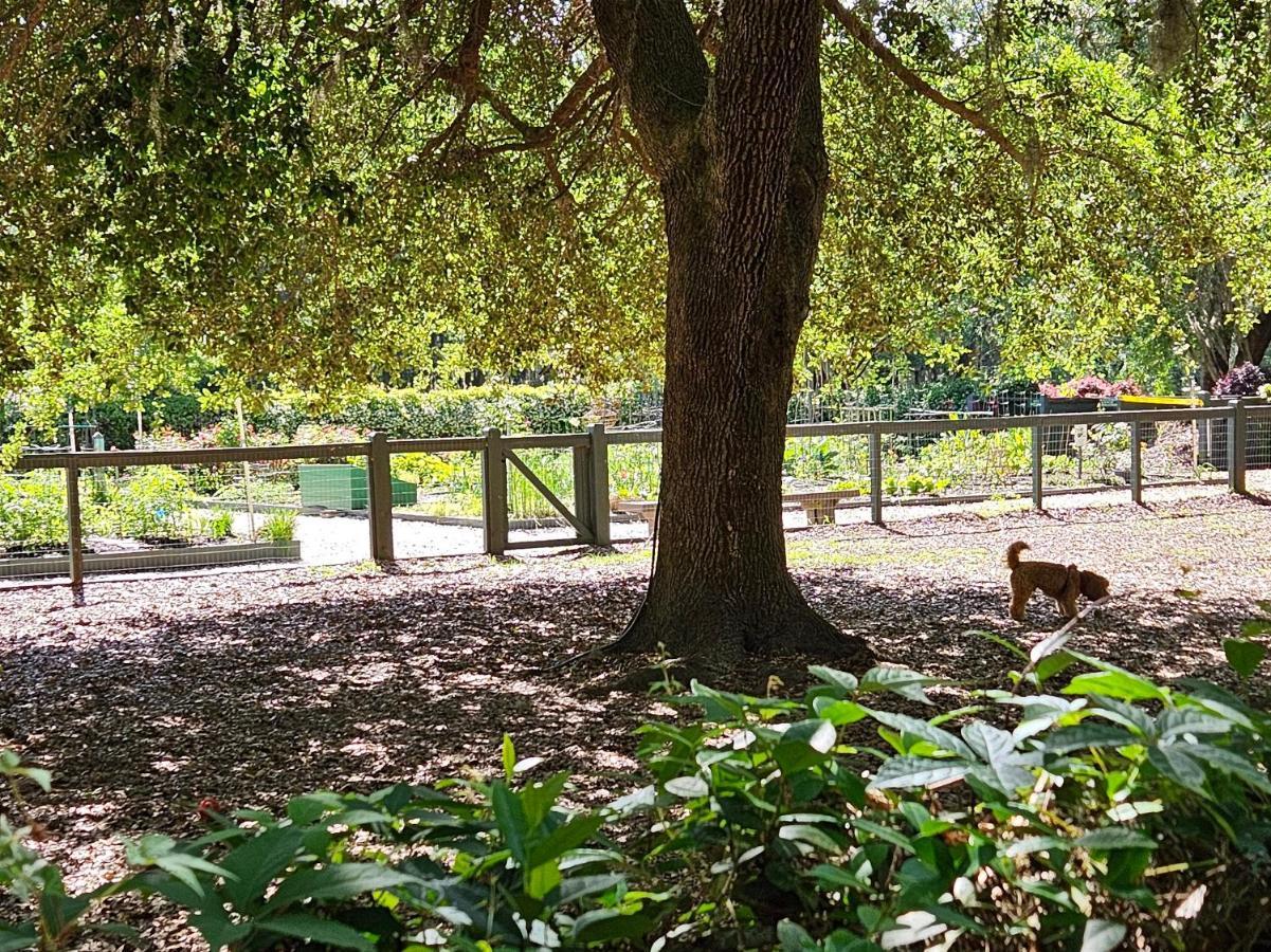 Low Country Cottage In Beautiful Habersham Beaufort Buitenkant foto