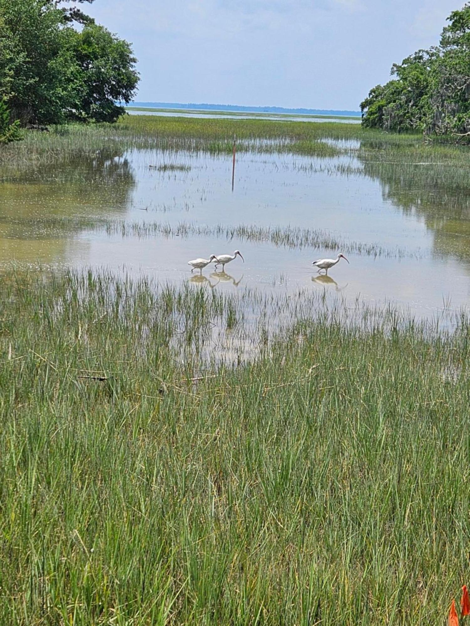 Low Country Cottage In Beautiful Habersham Beaufort Buitenkant foto